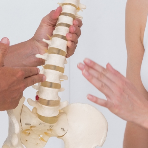 patient-education-Responsive-Physical-Therapy-PT-Works-Toms-River-Oceanport-Point-Pleasant-NJ